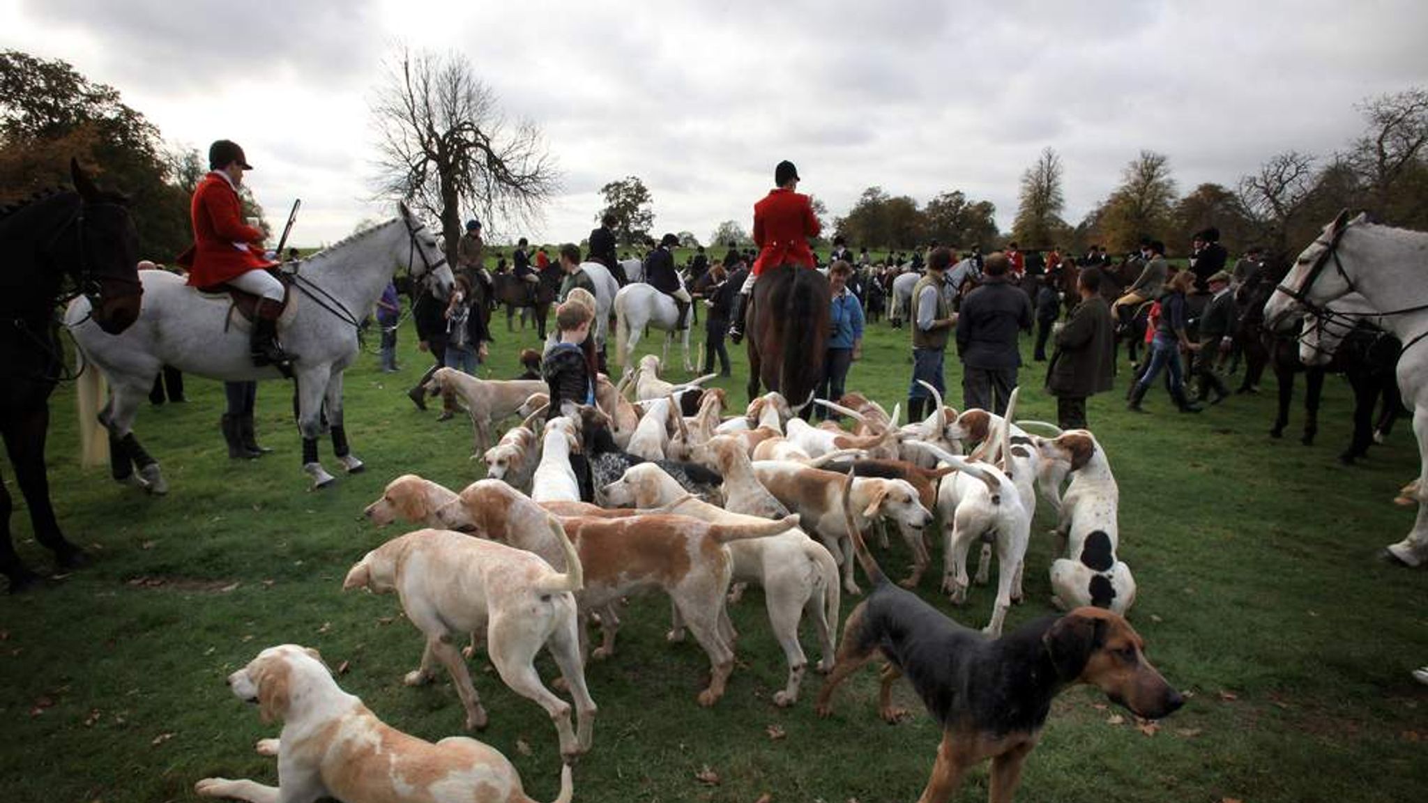 SNP To Oppose Hunting Change In England | UK News | Sky News