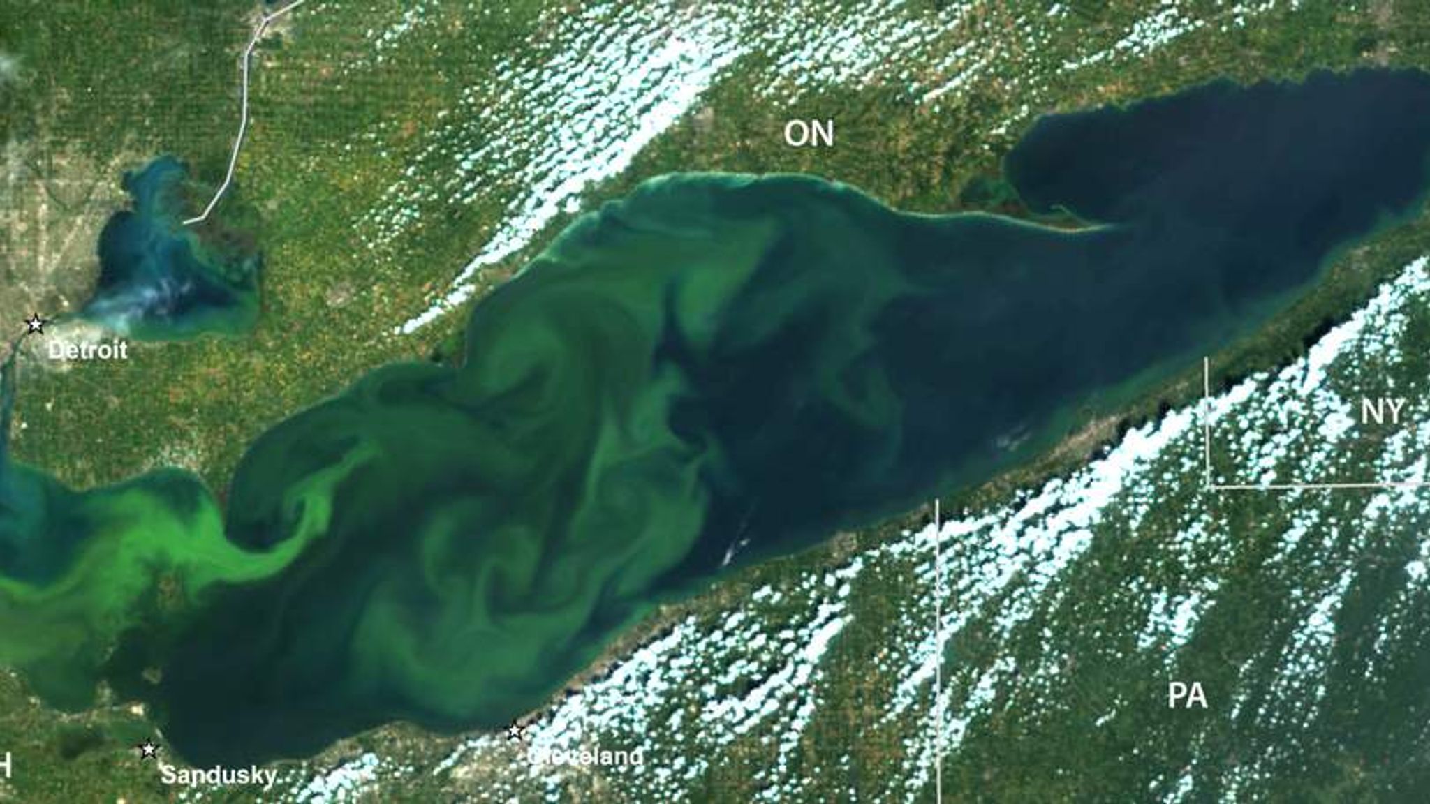 Lake Erie Algae Bloom Big As New York City US News Sky News