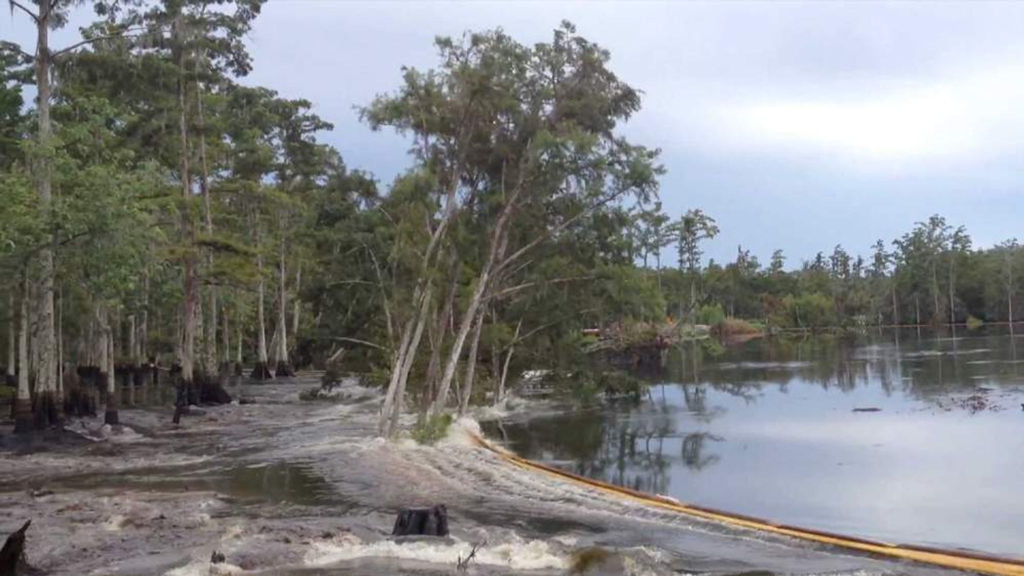 Sinkhole Trees Swallowed In Louisiana US News Sky News