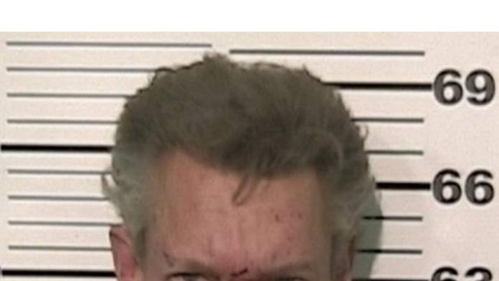 Randy Travis Arrested Mugshot