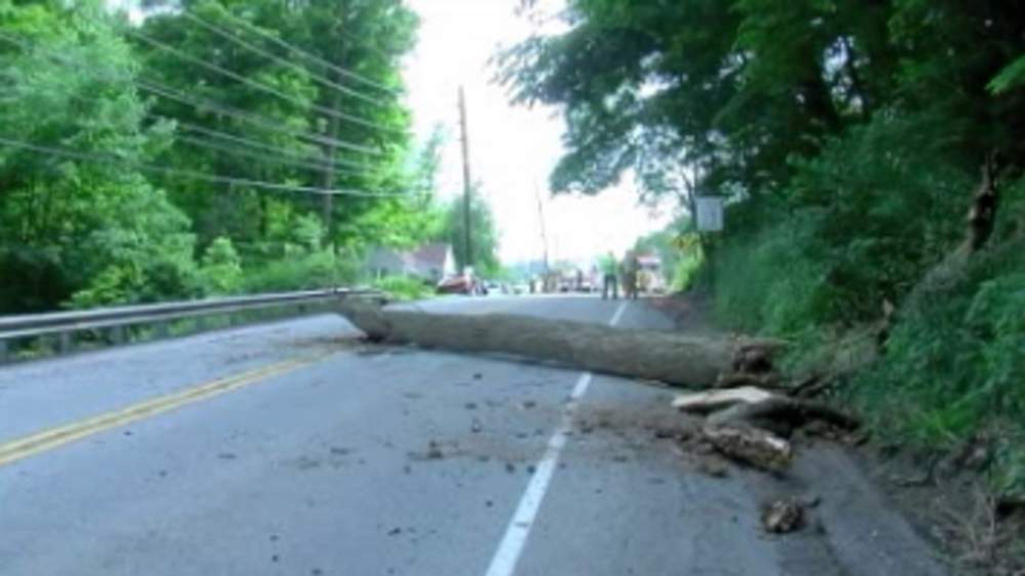 Tree Falls On Moving Car: Two Children Killed | US News | Sky News