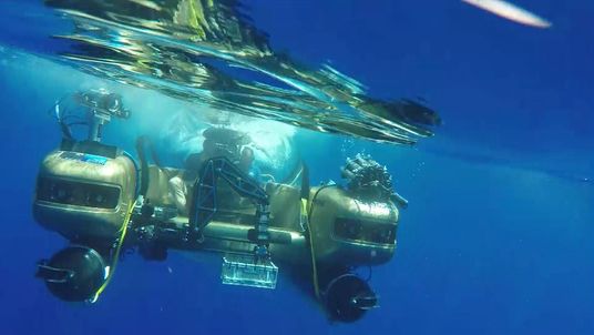 The health of the world's oceans