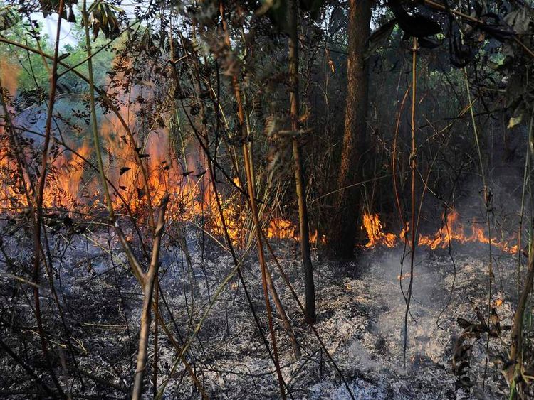 Indonesia To 'Make Rain' To End Sumatra Fires