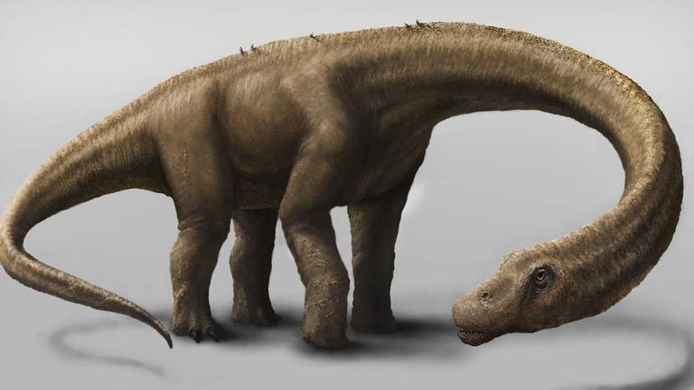 dreadnoughtus dinosaur