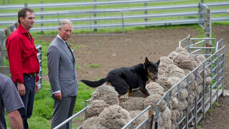 Prince Charles Backs Farmers In Country Life | UK News | Sky News