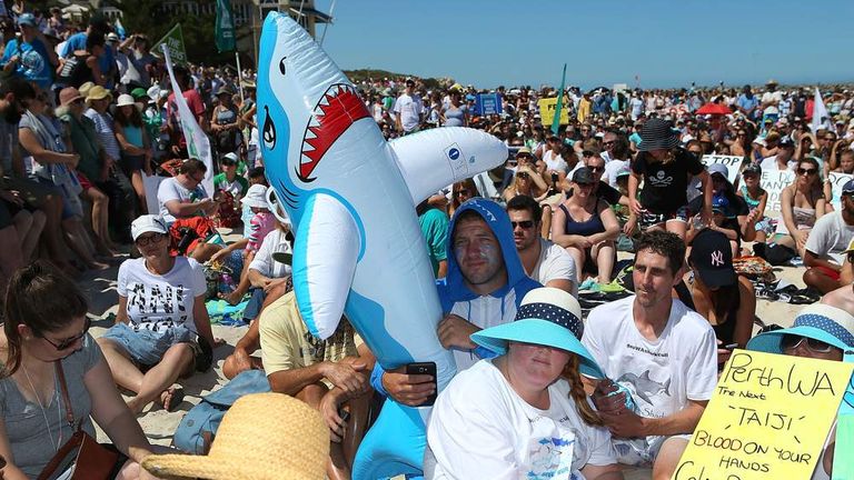 Shark cull protest