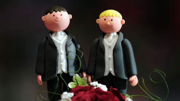 Gay marriage proposals