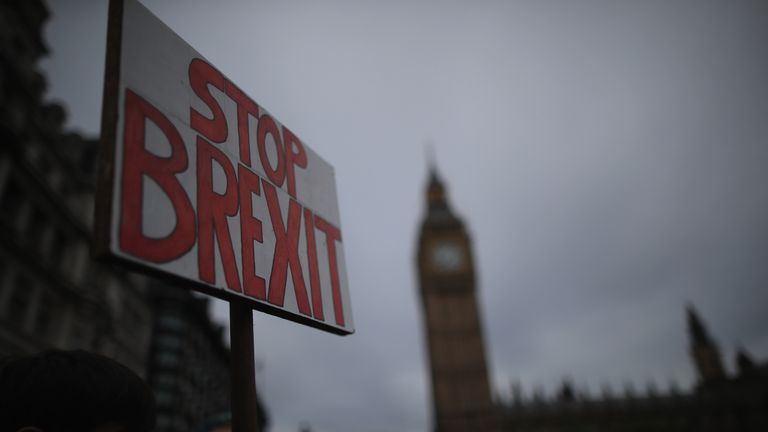 Remain voters protest against Brexit