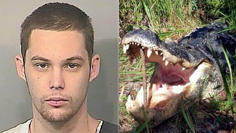 Alligator Kills Burglar Who Hid From Police  US News  Sky News