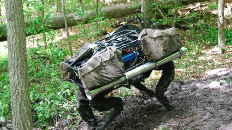 BigDog robot