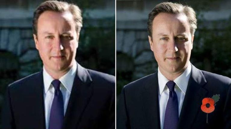 David Cameron's fake poppy.