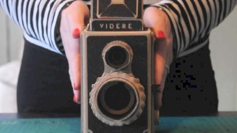 videre pinhole camera