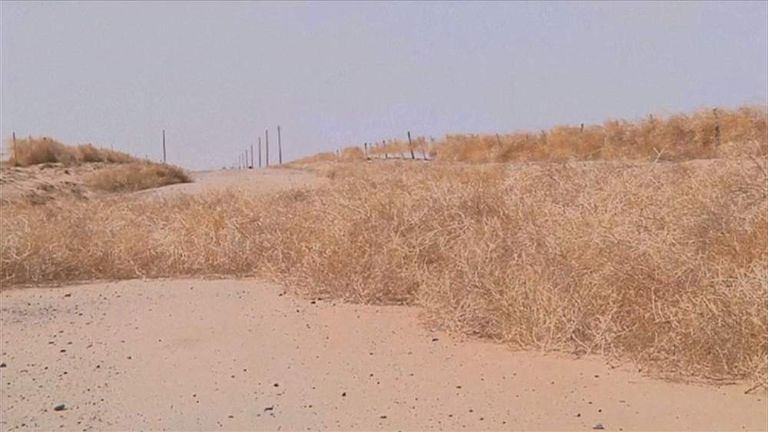 VIDEO] Colorado neighborhood buried by thousands of tumbleweeds