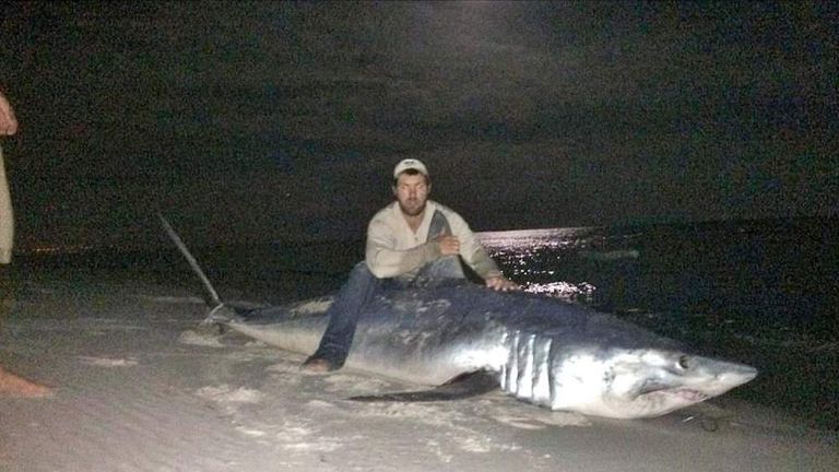 Hour-Long Battle As Angler Reels In 57st Shark, US News