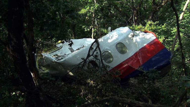 New wreckage of MH17 found in woodland