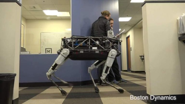 Boston Dynamics Robert Dog