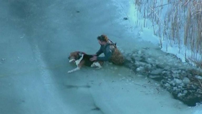 Daring Rescue Of Dog Trapped On Frozen Lake | Scoop News | Sky News