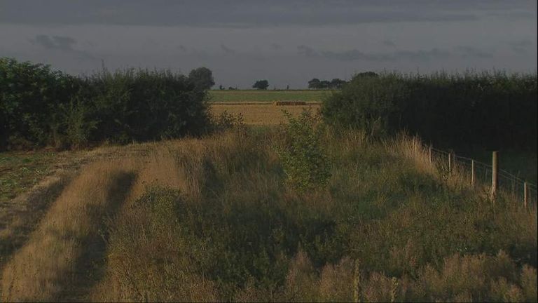 ocation of search for a lion believed to be at large in Essex