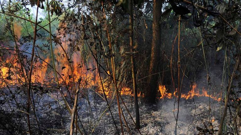 Indonesia To 'Make Rain' To End Sumatra Fires | World News | Sky News