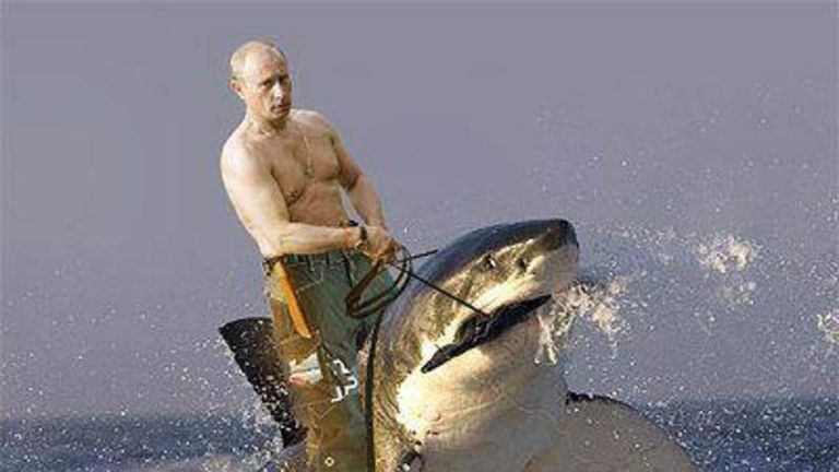 Facebook mock up of Vladimir Putin riding a shark shirtless