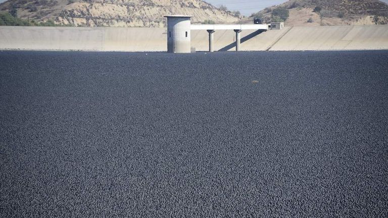 Black shade balls are released into a reservoir to help conserve water, Los Angeles, America - 10 Aug 2015