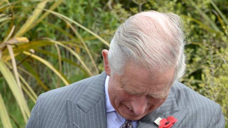 Britain's Prince Charles reacts as a large bumblebee (bottom left) briefly lands on the Prince's pants as he handles a native tuatara lizard during a visit to the Orokonui Eco sanctuary near Dunedin