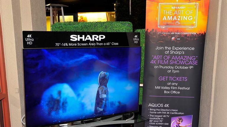 Sharp Slashes 5,000 Jobs In $1.7bn Bailout | Money News | Sky News