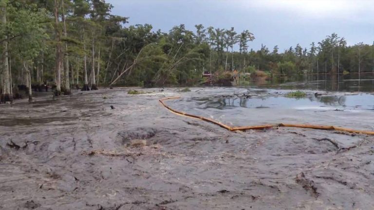 Sinkhole: Trees Swallowed In Louisiana | US News | Sky News