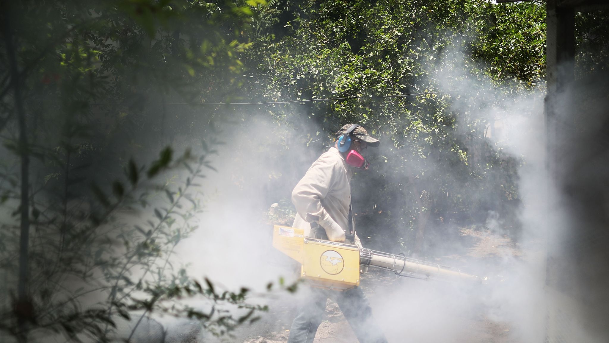 Mosquitoes Zika In Nyc Why The Pesticide Spraying Is Necessary - 9pafmq8