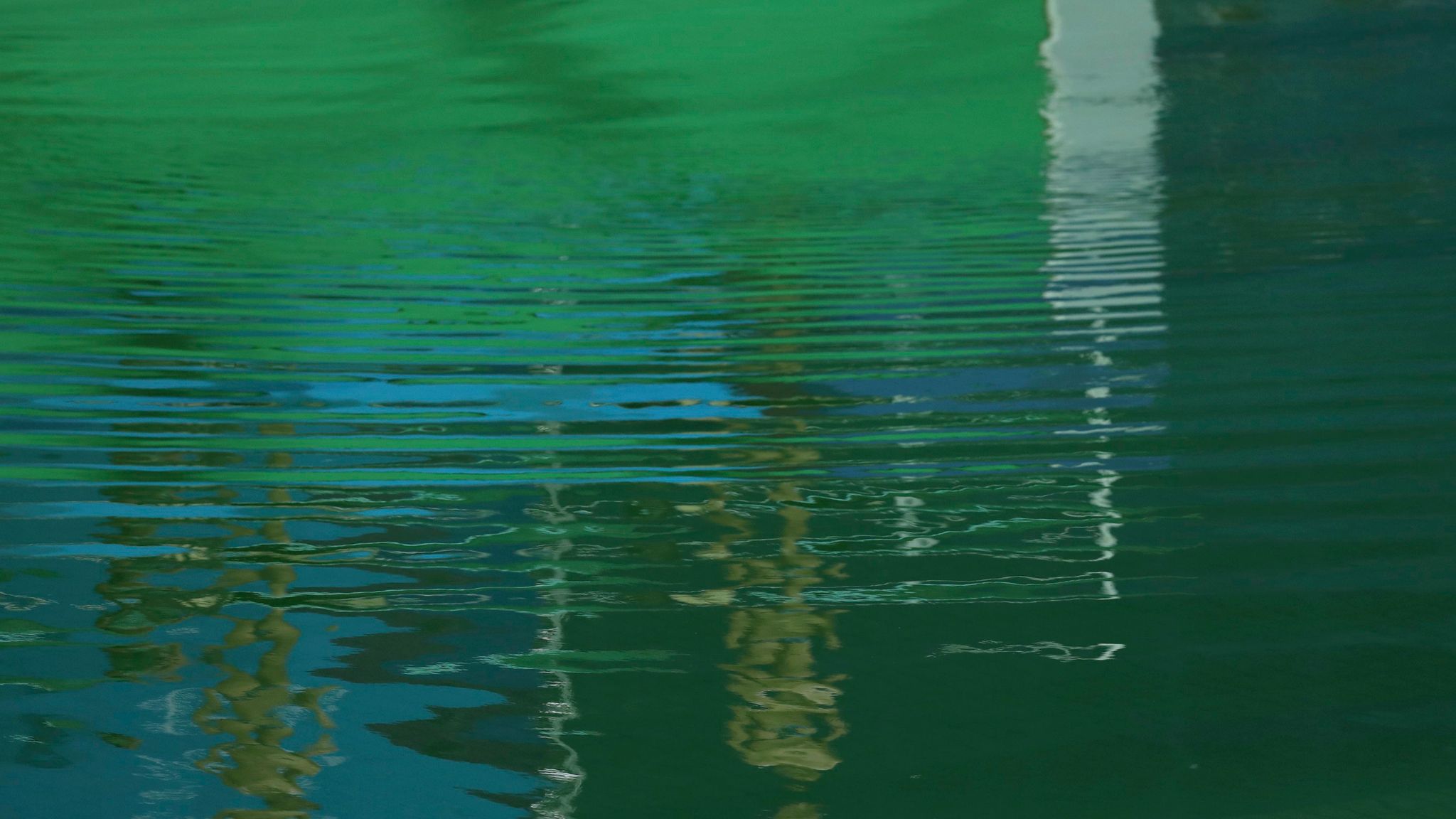 pool water murky green