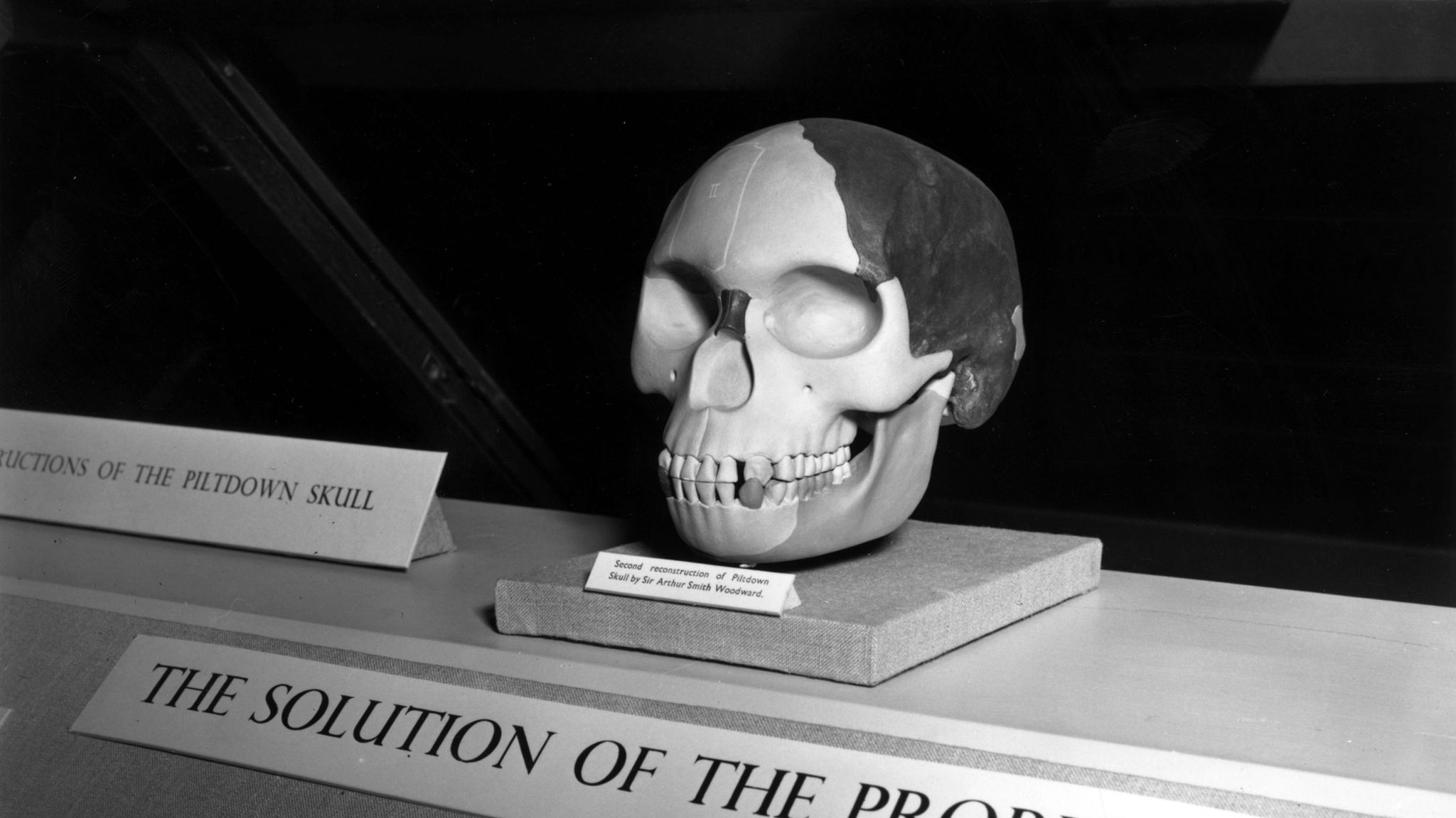 The piltdown man 2025 hoax