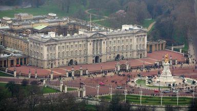 Man arrested after climbing over Buckingham Palace gate | UK News | Sky