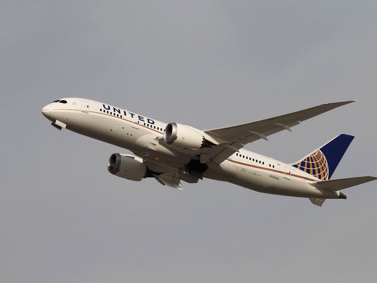 United Airlines said it was providing "care and support" to passengers and crew members