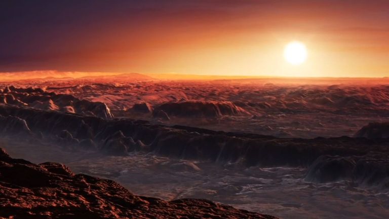 An artist impression of Proxima b&#39;s surface