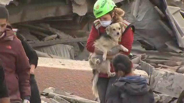 A dog is rescued from the earthquake rubble