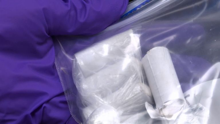 What is fentanyl? The little-known but deadly drug that killed Prince, US  news