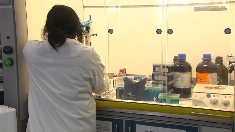 A woman works in a lab. File picture