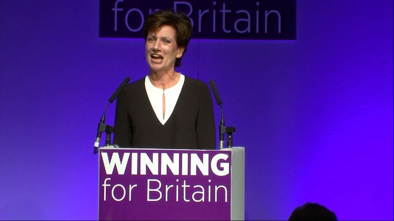 Diane James announced as new leader of UKIP | Politics News | Sky News