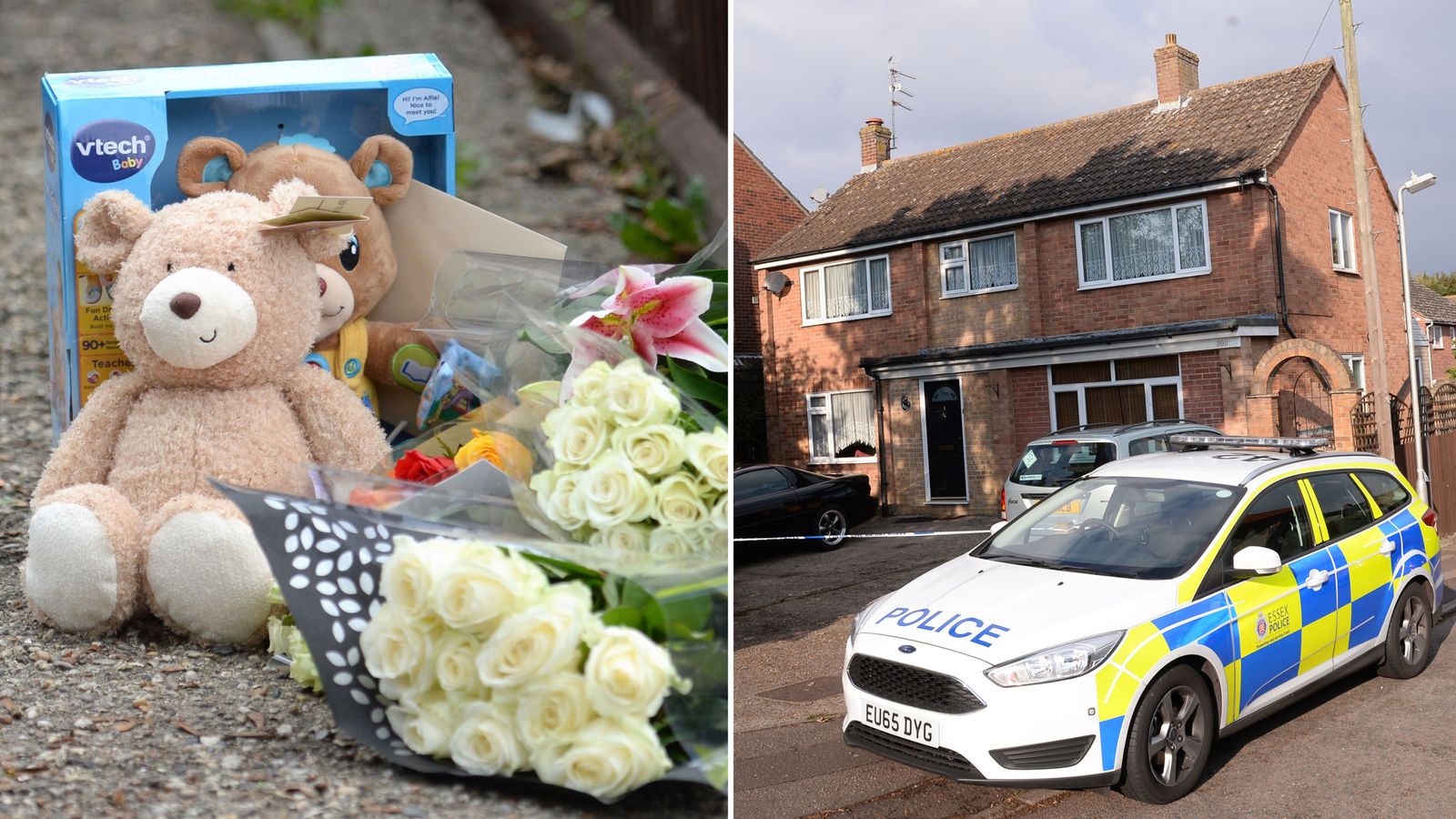 Fourmonthold baby boy killed in dog attack in Colchester UK News