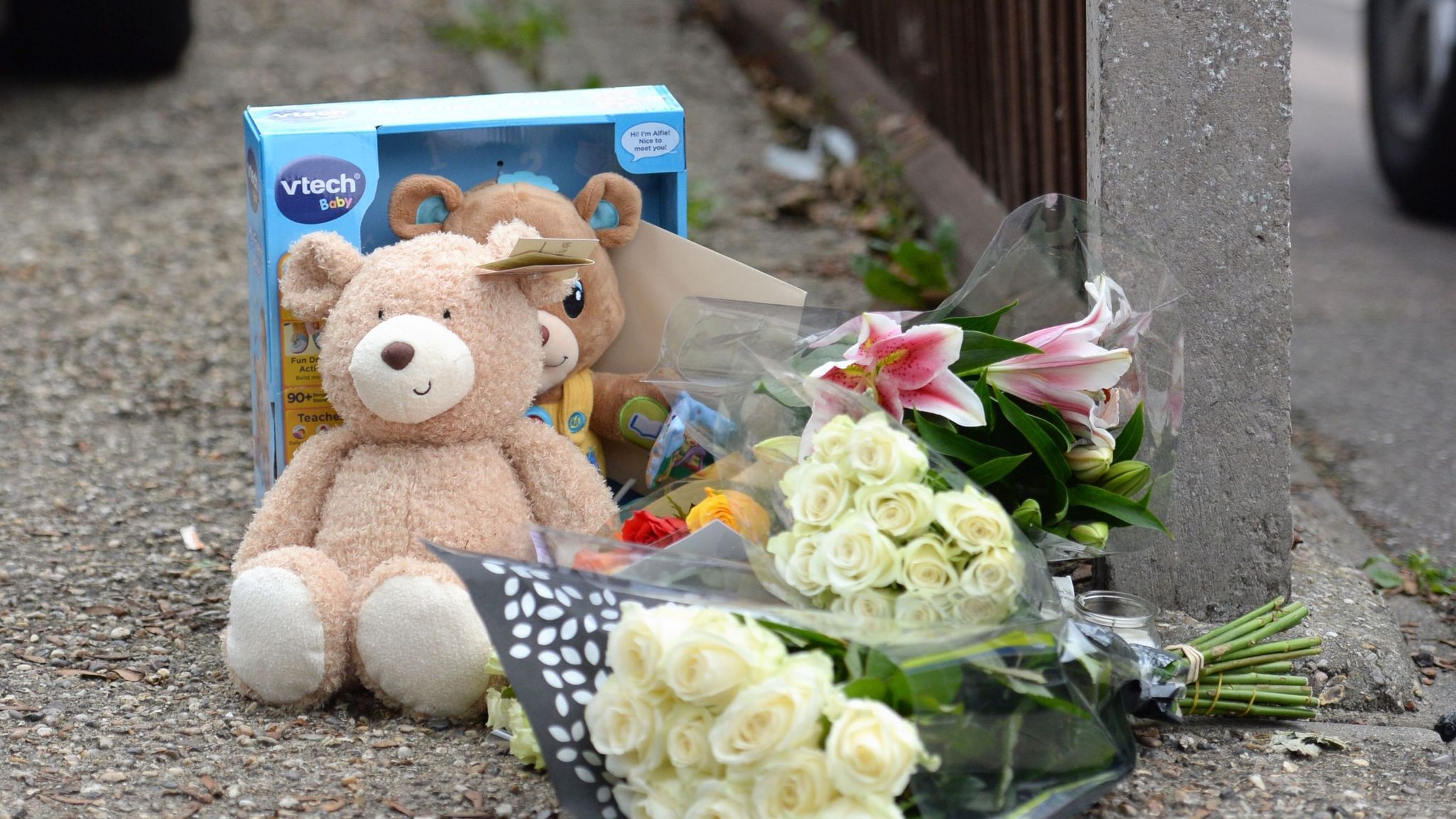 Baby killed by dog was 'taken from mum's arms and attacked' | UK News ...