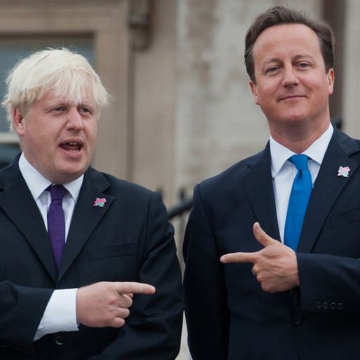 Johnson and Cameron savage PM's Brexit plan