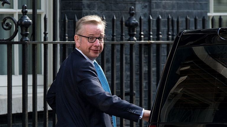 Michael Gove will help hold the Government to account over Brexit