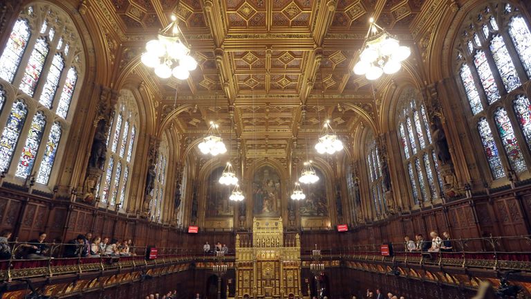 The House of Lords has been warned on Brexit