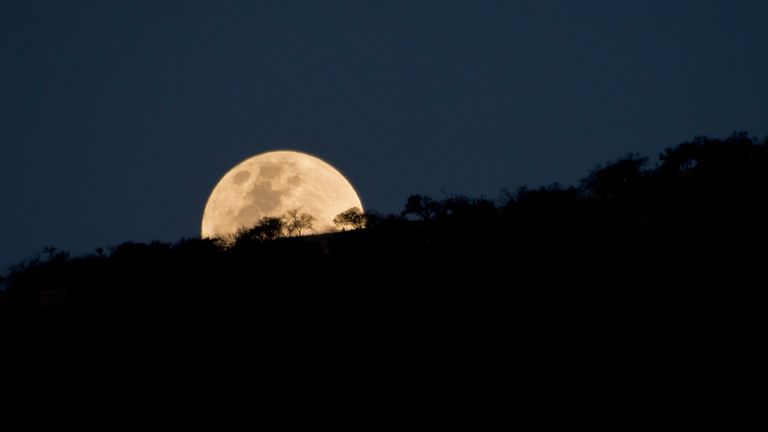 Moon created when 'about 20 moonlets collided' | World News | Sky News