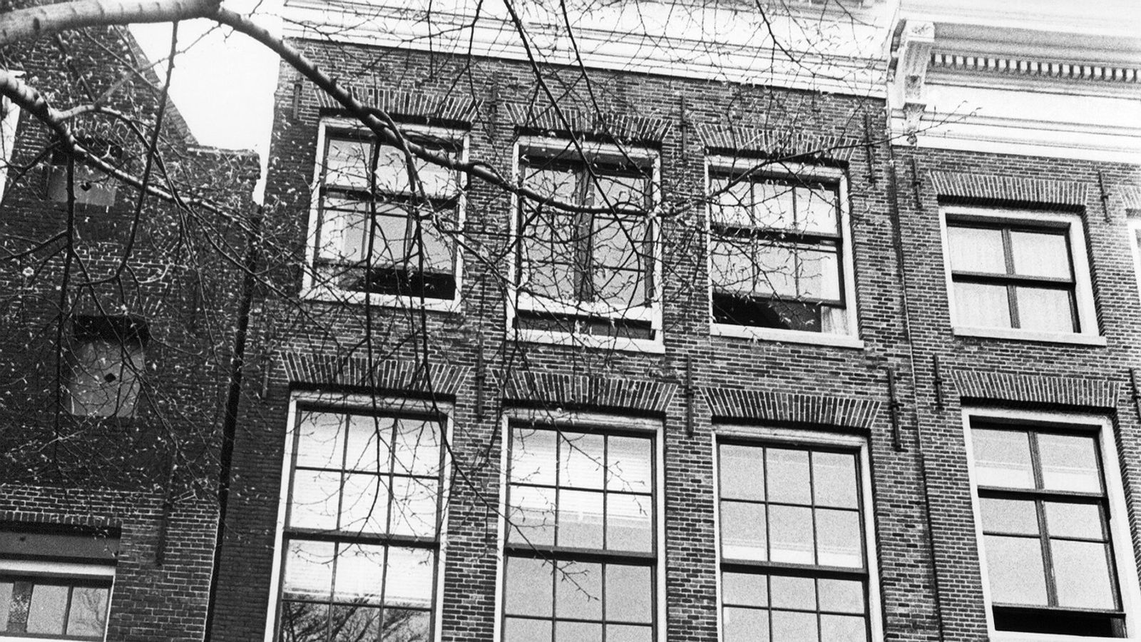 Anne Frank may have been captured by chance, new study suggests World