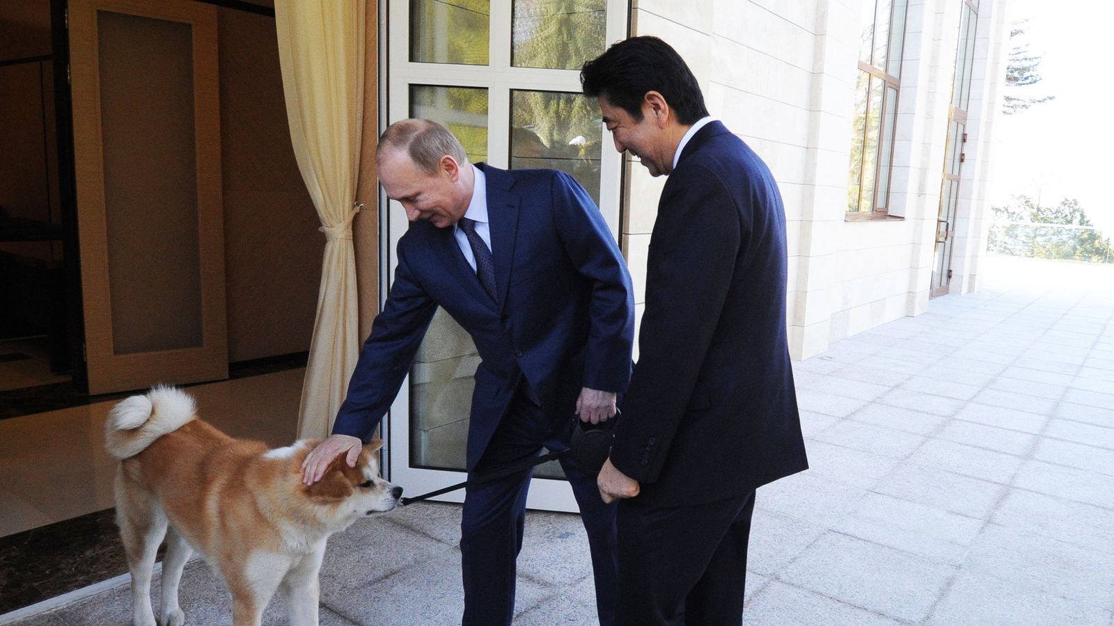 Putin shows no puppy love for Japan's attempt at dog diplomacy | World ...