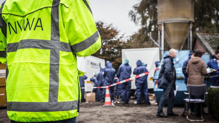 Avian flu has been detected across Europe, including at this farm in the Netherlands