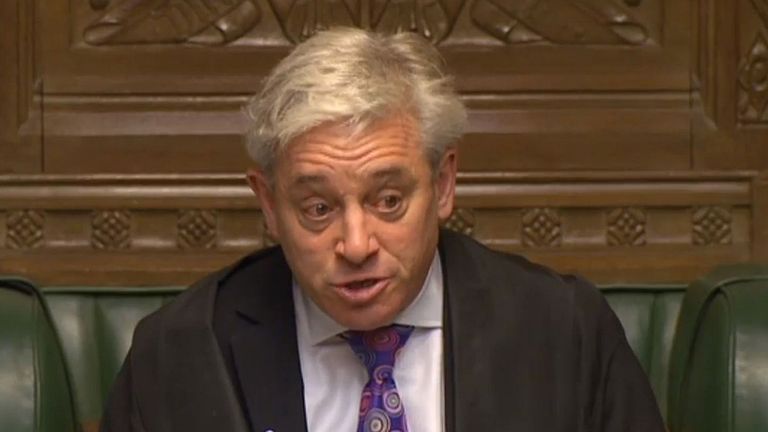 One MP said Speaker John Bercow is victim of a "long-standing vendetta" 