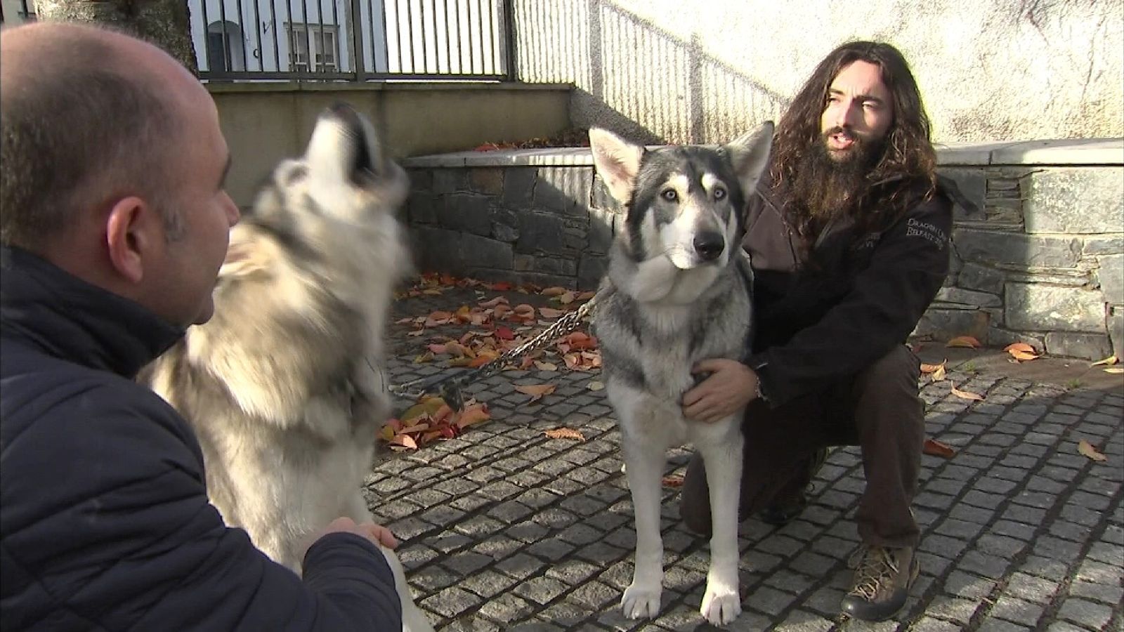 Northern inuit store game of thrones