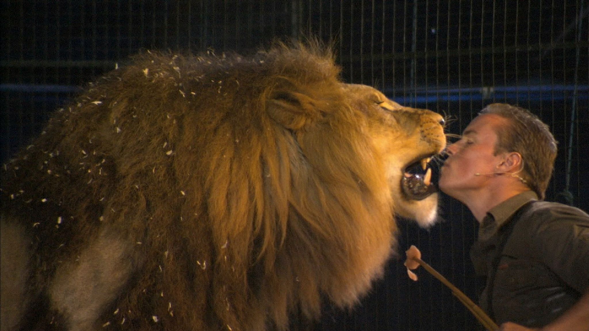 Britain's last lion tamer 'more determined than ever' despite rejection |  UK News | Sky News
